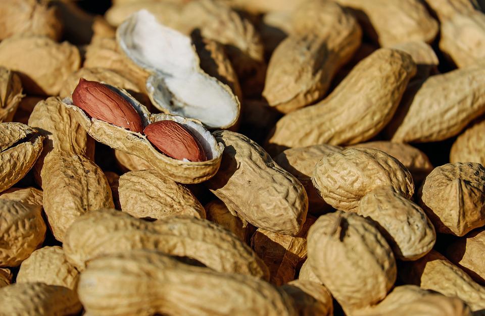 esta imagem mostra o amendoim, uma leguminosa que tem benefícios para saude